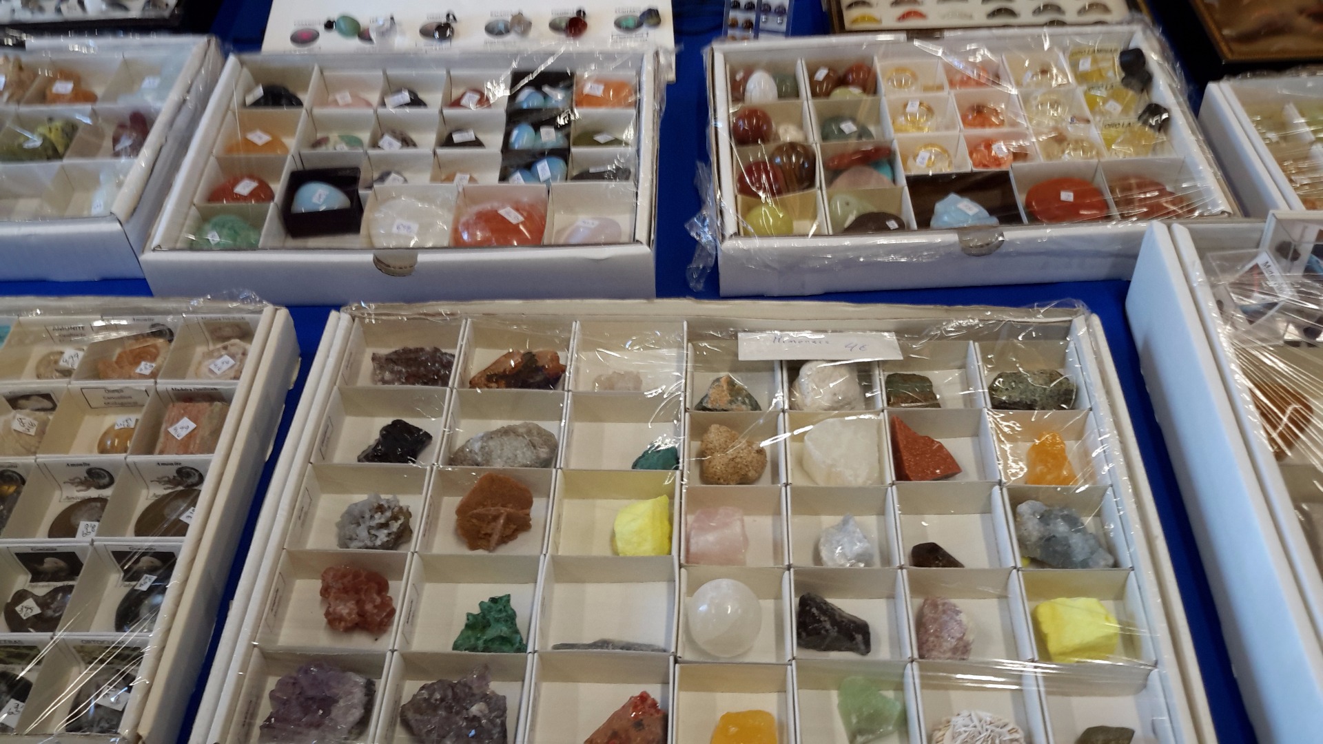 Feira de Minerais - Biblioteca EBSCM